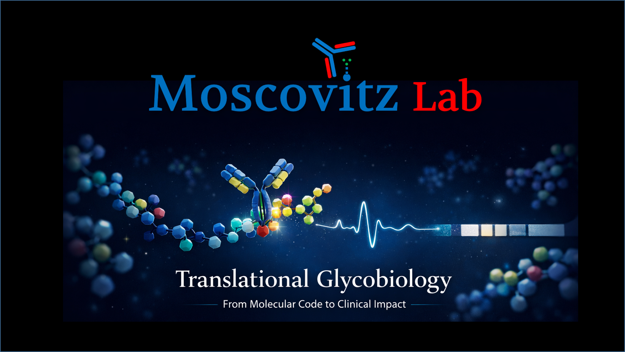 Translational Glycobiology — From Molecular Code to Clinical Impact