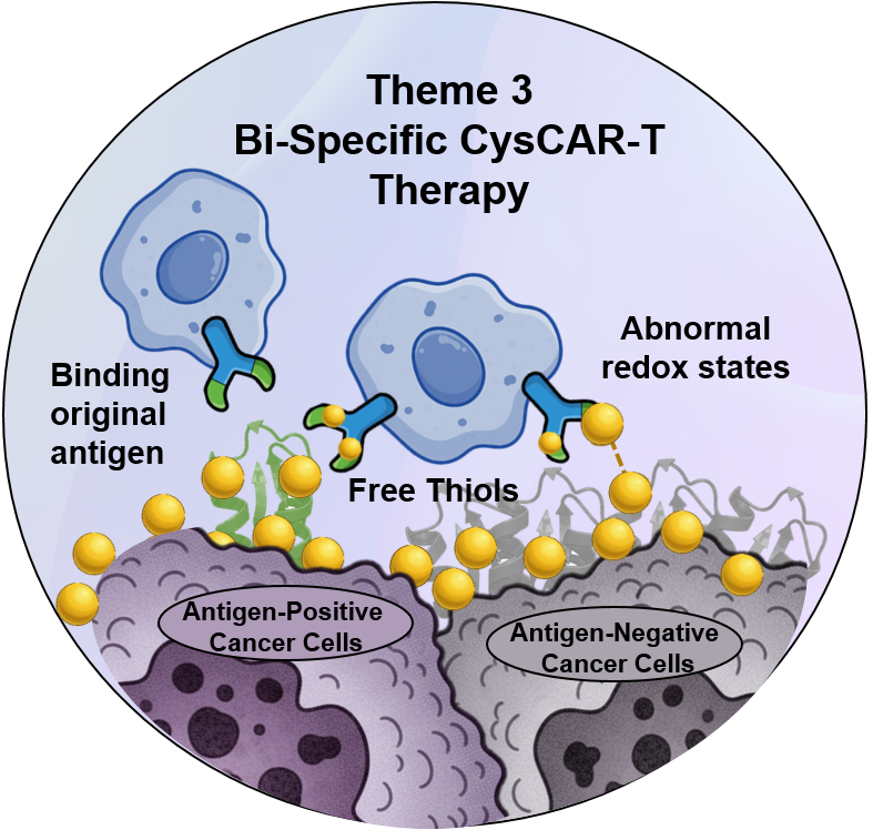 CysCAR-T Therapy